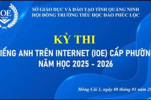 CUỘC THI TIẾNG ANH TRÊN INTERNET (IOE) CẤP PHƯỜNG